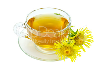Herbal tea with elecampane in a glass cup