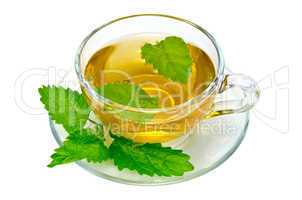 Herbal tea with nettles in a glass cup