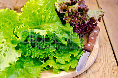 Lettuce green and red with a knife on board