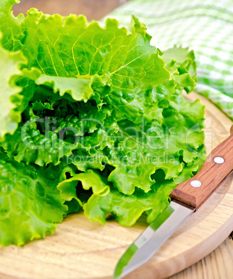Lettuce green with a knife on board