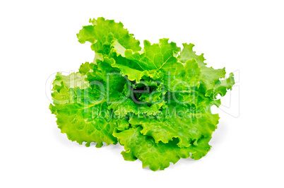 Lettuce green