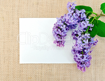 Lilac on sackcloth with paper