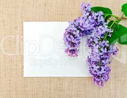 Lilac on sackcloth with paper
