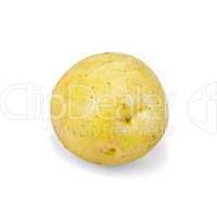 Potatoes yellow one