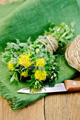 Rhodiola rosea with knife and a coil of rope on board