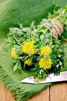 Rhodiola rosea with a knife on the board