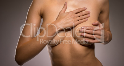 female breasts