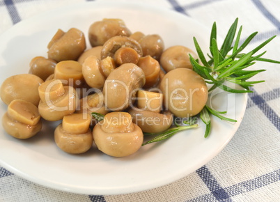 Mushrooms in a white plate