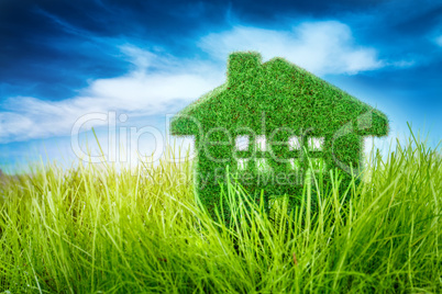 house on the green grass