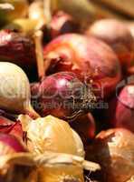 Fresh red and yellow bulb onions