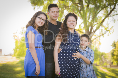 Happy Attractive Hispanic Family With Their Pregnant Mother Outd