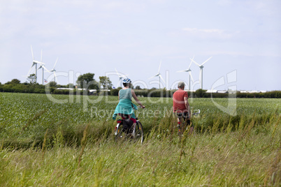 pasture landscape with cyclists