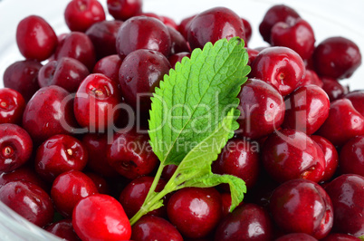 cherries and lemon balm leaf 1