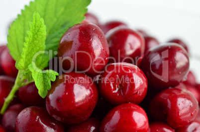 cherries and lemon balm leaf 4