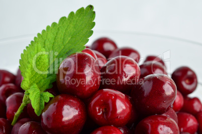 cherries and lemon balm leaf 5