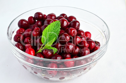 cherries and lemon balm leaf 7