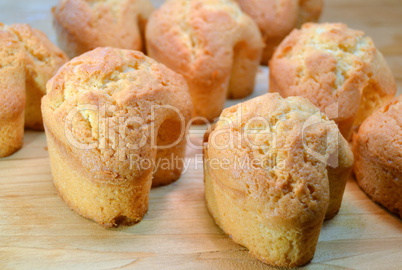 Freshly baked muffins