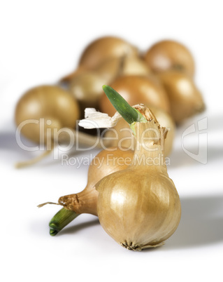 Small onions