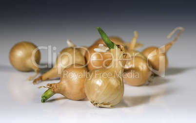 Small onions