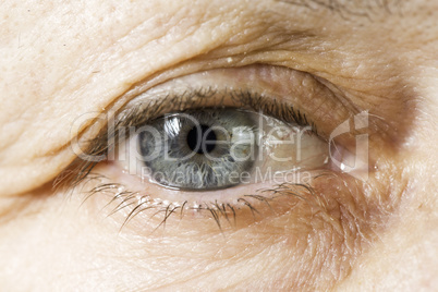 Close up old women eye