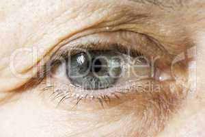 Close up old women eye