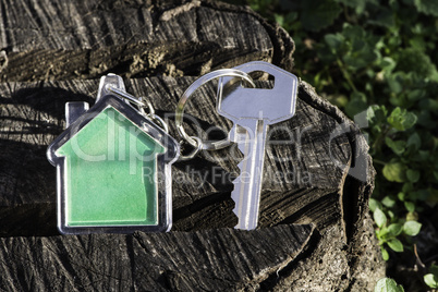 Keychain in a shape of house