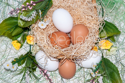 Fresh eggs for the feast of Easter.