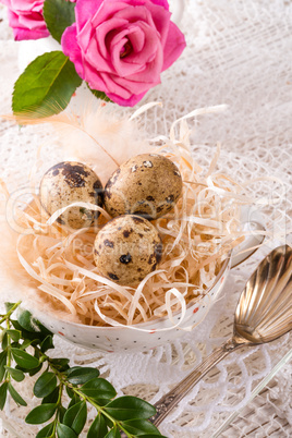 quail's eggs