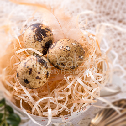 quail's eggs