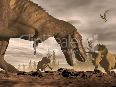 tyrannosaurus roaring at triceratops - 3d render