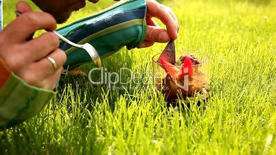 Desert in the grass