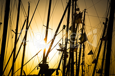Masten von Segelbooten im Sonnenuntergang,Laboe,Schleswig-Holste