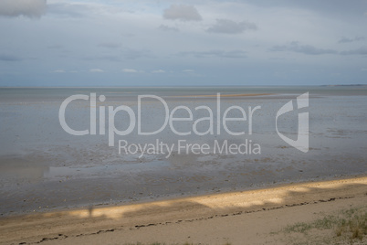 wadden sea at low tide