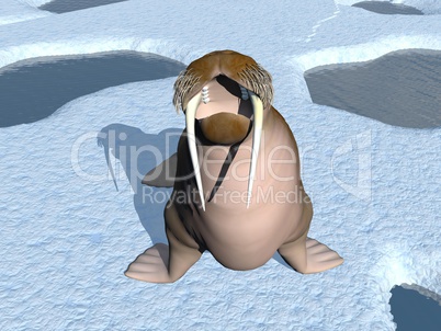 walrus mouth - 3d render