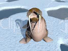 walrus mouth - 3d render