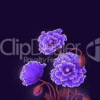 poppy flowers, watercolor illustration