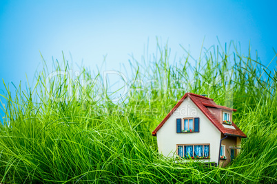 house on the green grass