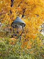 lamp in the autumn leaves