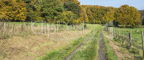 wanderweg herbst panorama