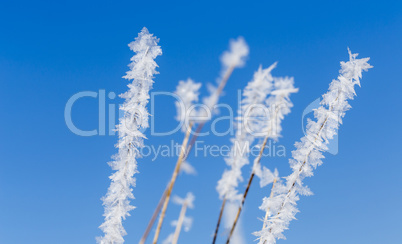 eiskristalle vor blauem himmel