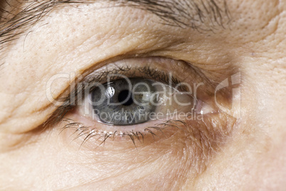 Close up old women eye