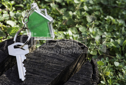 Keychain in a shape of house