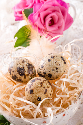 quail's eggs