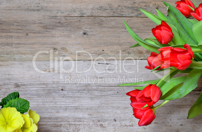 Tulpen Frühling holz hintergrund