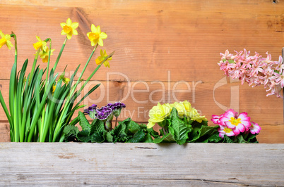 frühling holz hintergrund