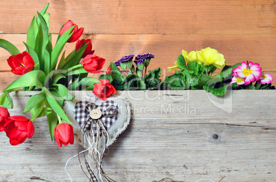 Tulpen Frühling Holz Hintergrund Herz