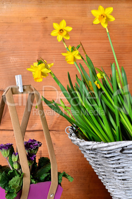 frühling holz hintergrund