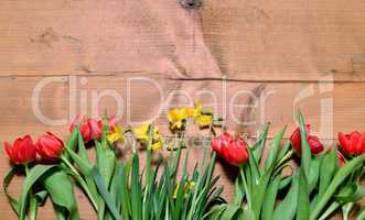 frühling holz hintergrund