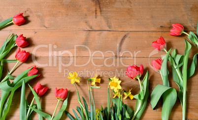 frühling holz hintergrund