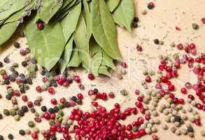 dry bay laurel leaf with multicolored peppercorn